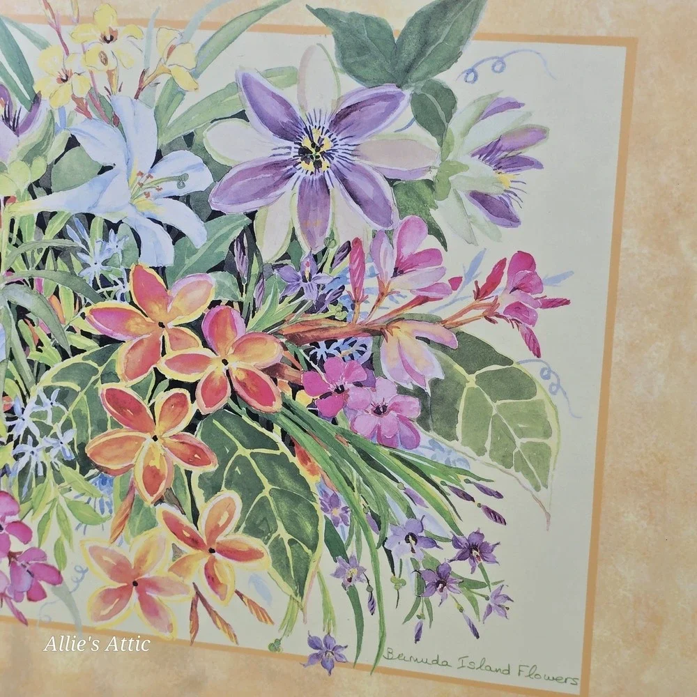 4 Placemats Cork Back Hot Pad Pimpernel Bermuda Wildflower Floral Cottage Granny